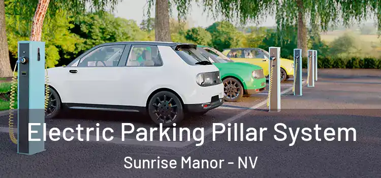  Electric Parking Pillar System Sunrise Manor - NV