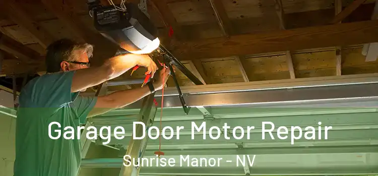  Garage Door Motor Repair Sunrise Manor - NV