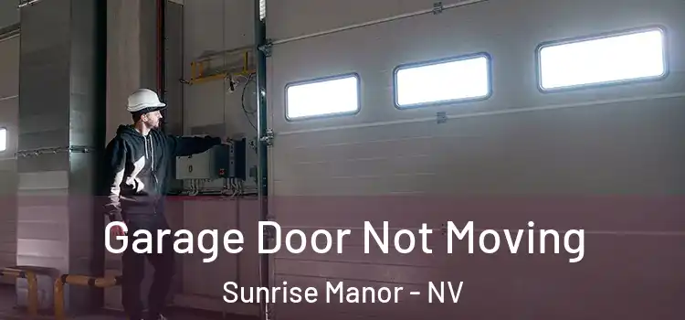  Garage Door Not Moving Sunrise Manor - NV
