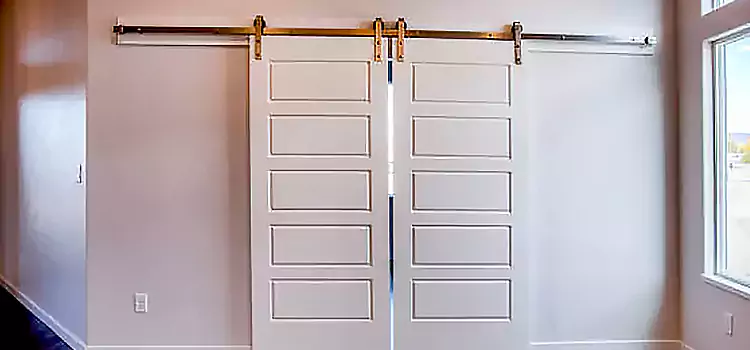 Glass Barn Door with Installation Hardware Kit Sunrise Manor