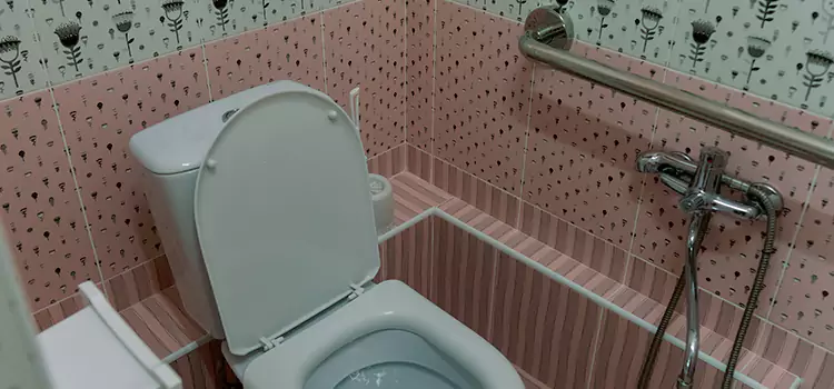 Meeting Diverse Needs With Accessible Restroom Solutions in Sunrise Manor, NV